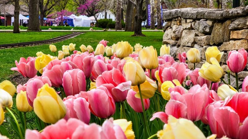 Wamego City Park - Wamego, KS