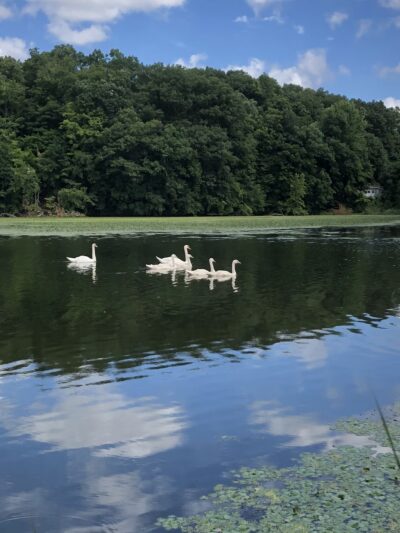 Fisherman's Park - Wappingers Falls, NY