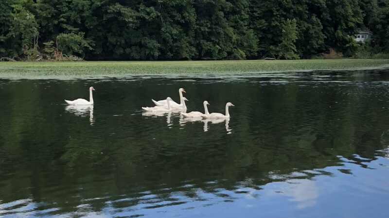 Fisherman's Park - Wappingers Falls, NY