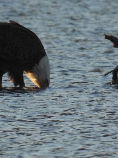 Fisherman's Park - Wappingers Falls, NY