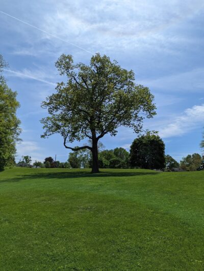 Veterans Memorial Park - Wappingers Falls, NY