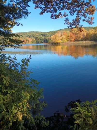 Grenville Park - Ware, MA