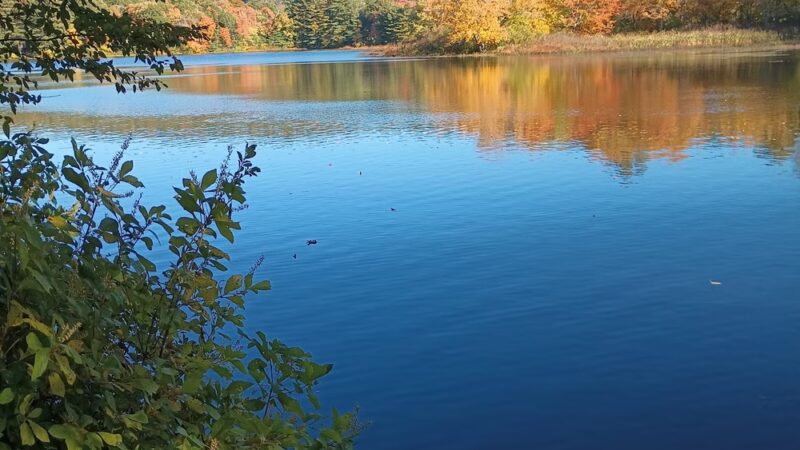 Grenville Park - Ware, MA