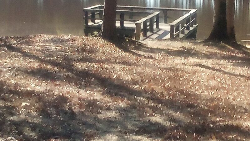Bradley County Park - Warren, AR