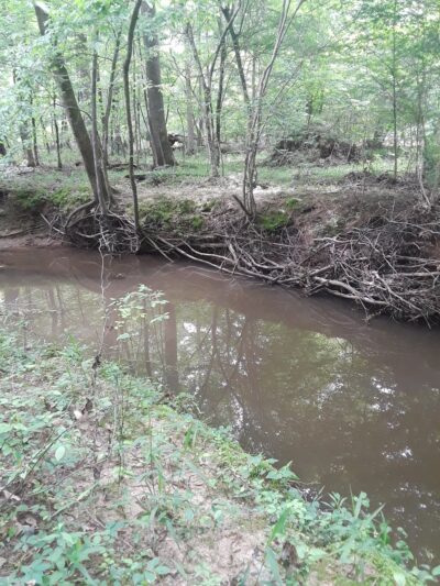 Bradley County Park - Warren, AR
