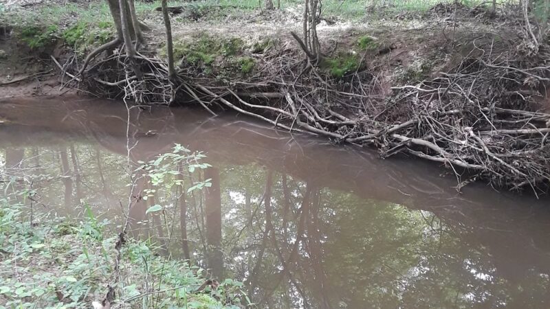 Bradley County Park - Warren, AR