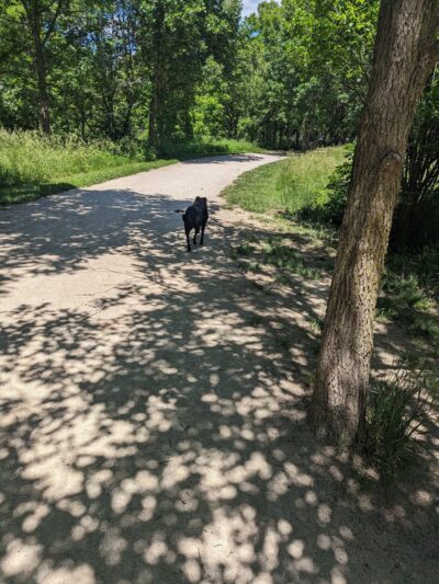 Blackwell Off-Leash Dog Area and Canoe Launch Lot - Warrenville, IL