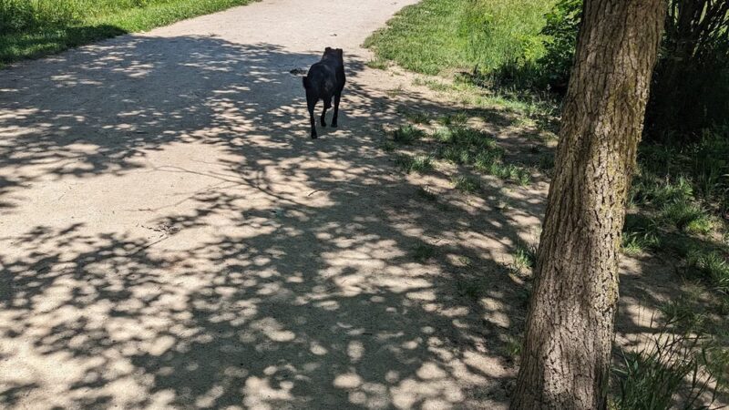Blackwell Off-Leash Dog Area and Canoe Launch Lot - Warrenville, IL