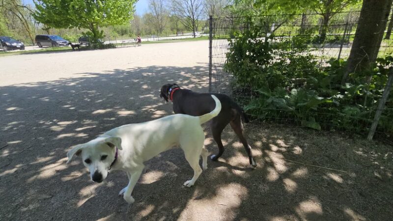 Blackwell Off-Leash Dog Area and Canoe Launch Lot - Warrenville, IL