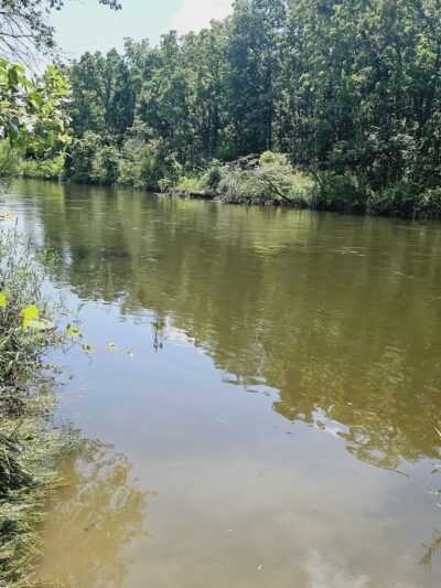 Blackwell Off-Leash Dog Area and Canoe Launch Lot - Warrenville, IL