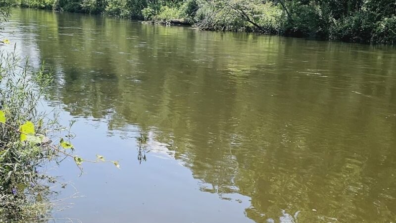 Blackwell Off-Leash Dog Area and Canoe Launch Lot - Warrenville, IL