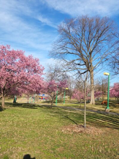 Chuck Brown Memorial Park - Washington,