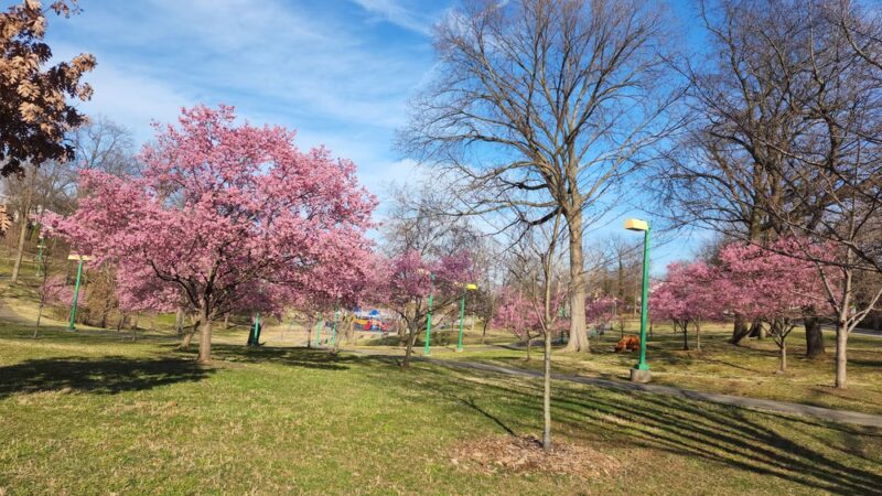 Chuck Brown Memorial Park - Washington,
