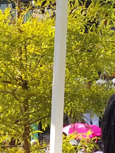 Chuck Brown Memorial Park - Washington,