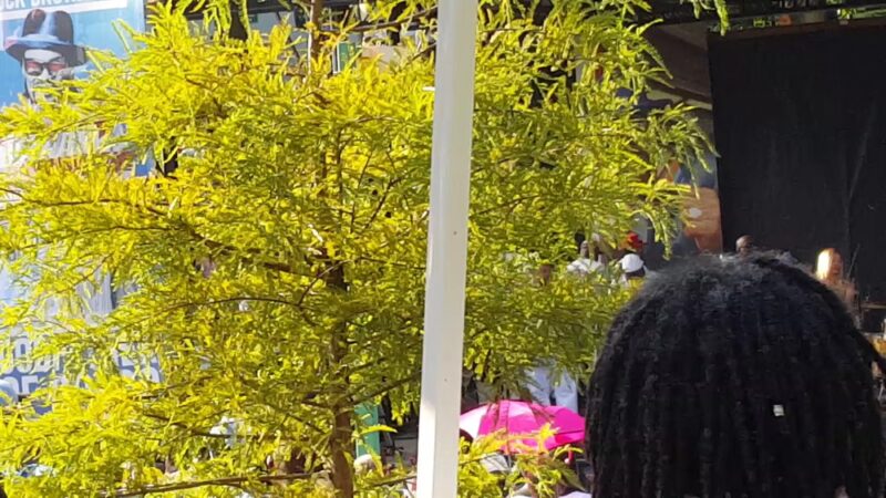 Chuck Brown Memorial Park - Washington,