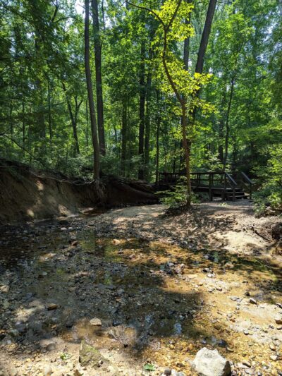 Glover Archbold Trail - Washington,