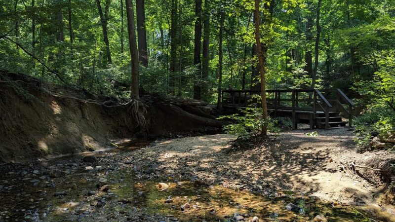 Glover Archbold Trail - Washington,