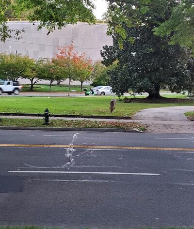 Glover Archbold Trail - Washington,