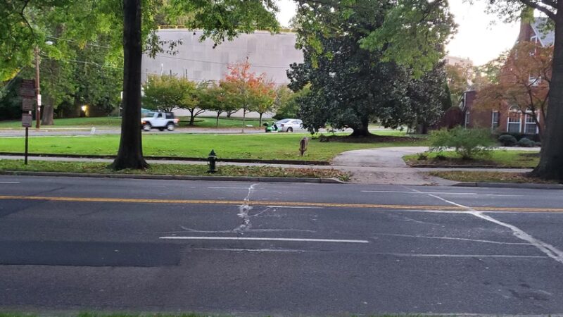 Glover Archbold Trail - Washington,