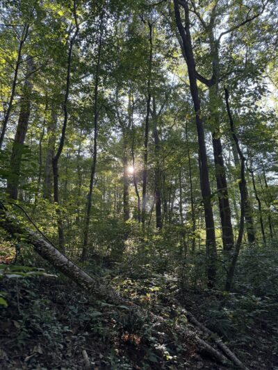 Whittier Trail Head - Washington,