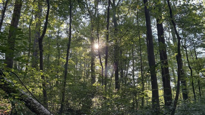 Whittier Trail Head - Washington,