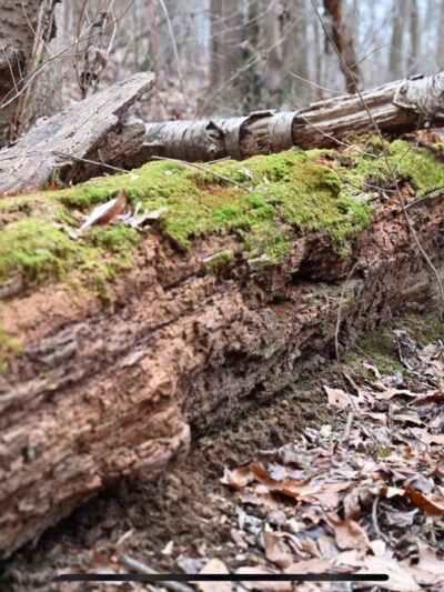 Whittier Trail Head - Washington,