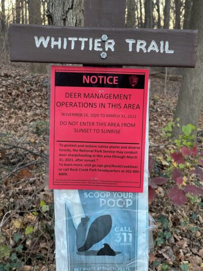 Whittier Trail Head - Washington,