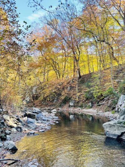 Beach Drive Walking/Biking Path - Washington,