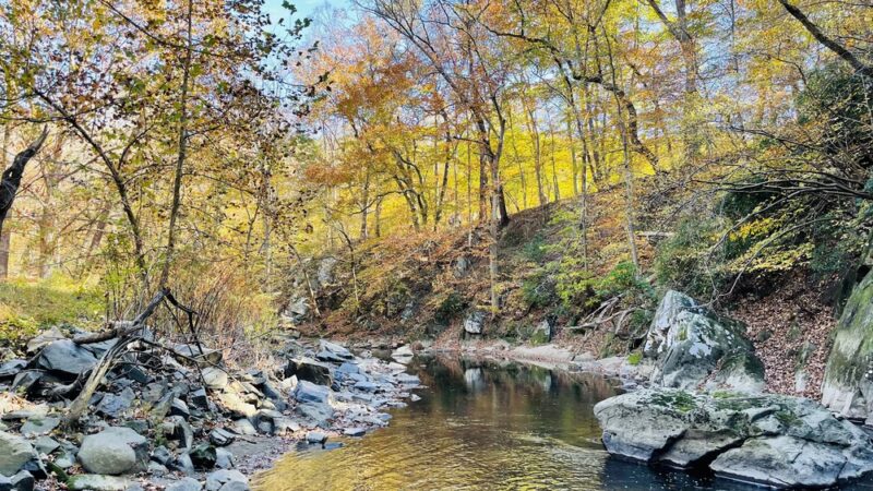 Beach Drive Walking/Biking Path - Washington,