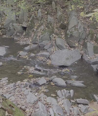 Beach Drive Walking/Biking Path - Washington,