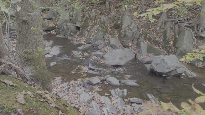 Beach Drive Walking/Biking Path - Washington,