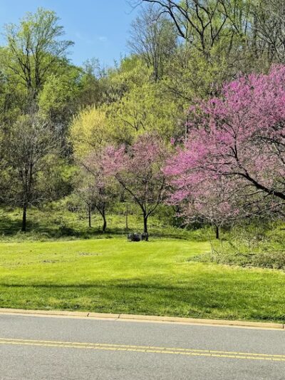 Beach Drive Walking/Biking Path - Washington,