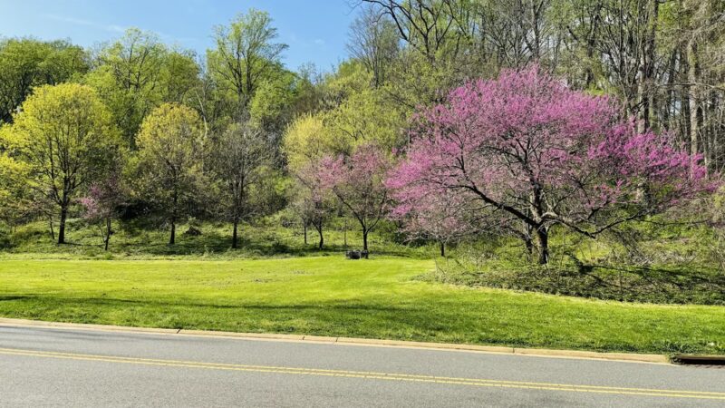 Beach Drive Walking/Biking Path - Washington,