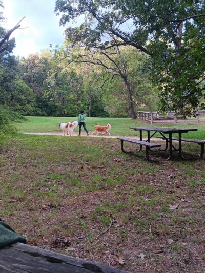 Beach Drive Walking/Biking Path - Washington,
