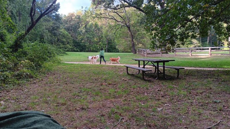 Beach Drive Walking/Biking Path - Washington,