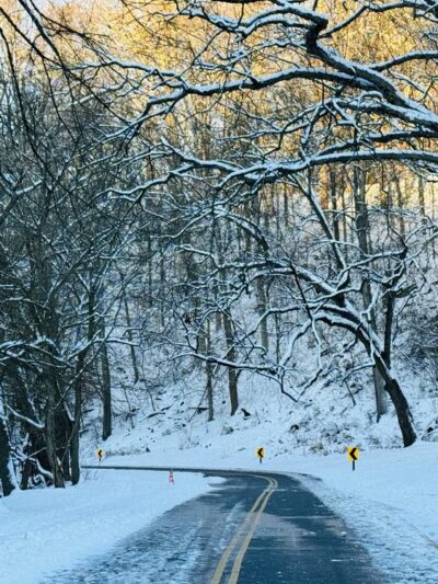 Beach Drive Walking/Biking Path - Washington,