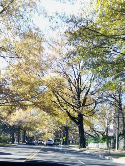 Chevy Chase Recreation Center - Washington,