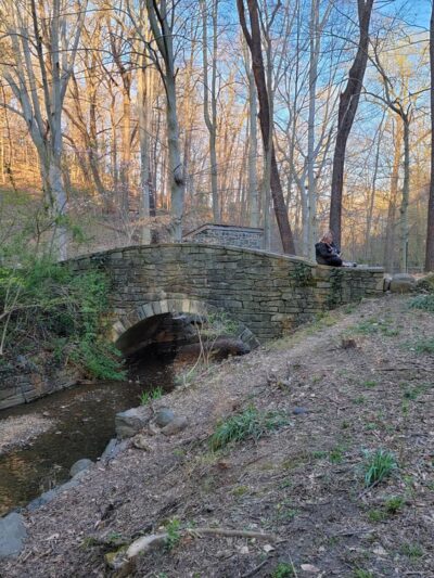 Dumbarton Oaks Park - Washington,