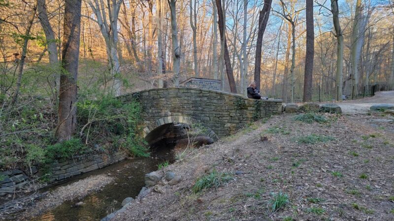 Dumbarton Oaks Park - Washington,