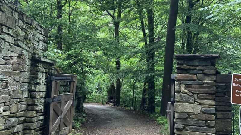 Dumbarton Oaks Park - Washington,