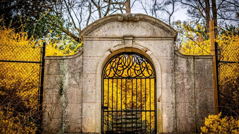 Dumbarton Oaks Park - Washington,