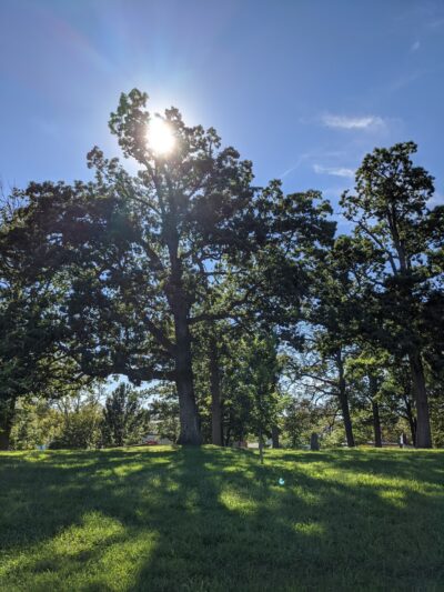 Emery Heights Park - Washington,