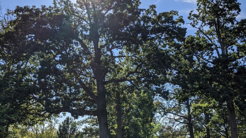 Emery Heights Park - Washington,