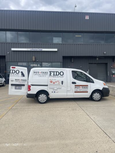 Fido Fitness and Play - Washington,