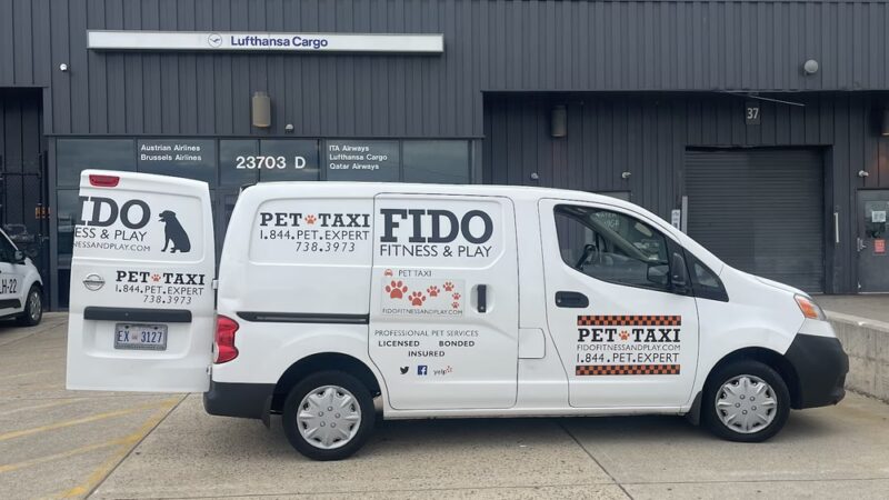 Fido Fitness and Play - Washington,