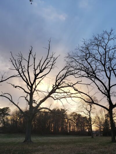 Fort Circle Parks - Washington,