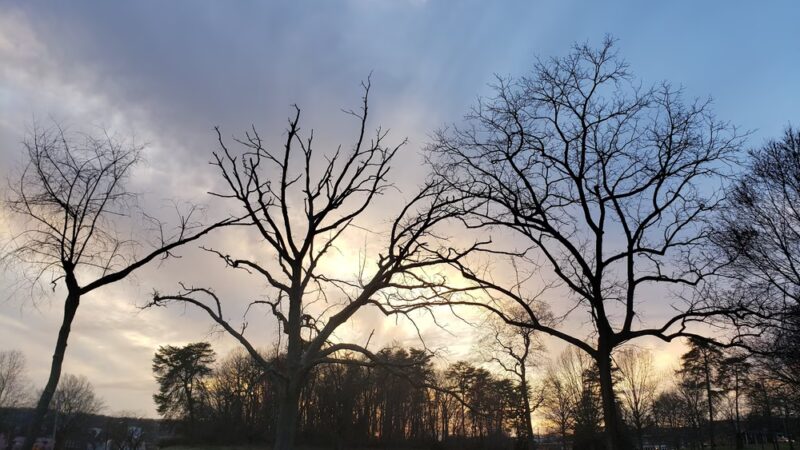 Fort Circle Parks - Washington,