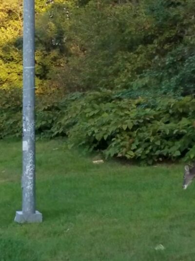 Fort Slocum Park - Washington,