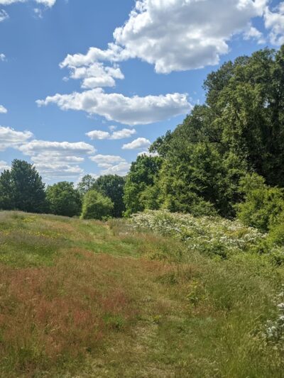 Fort Slocum Park - Washington,