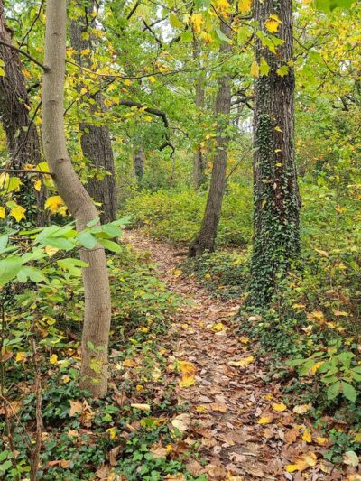 Fort Slocum Park - Washington,